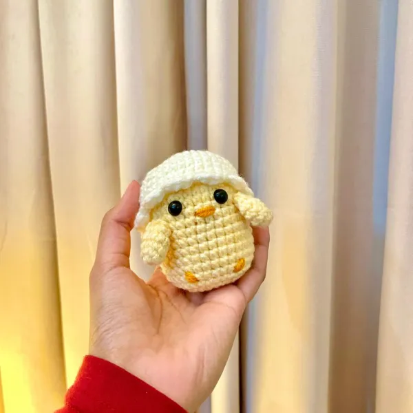 Hatched Chick