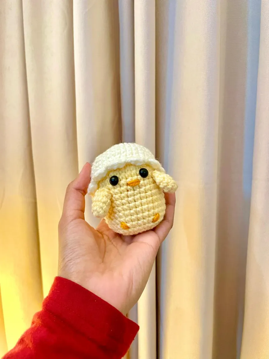 Hatched Chick