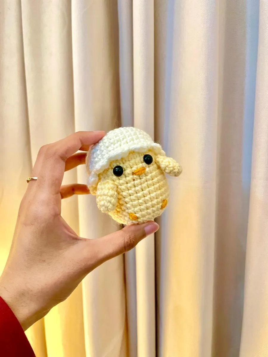 Hatched Chick
