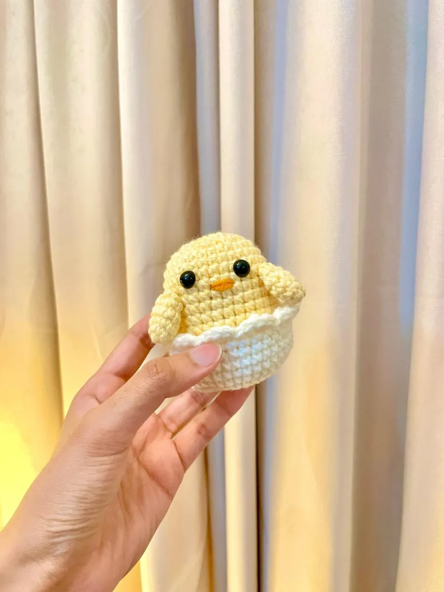 Hatched Chick