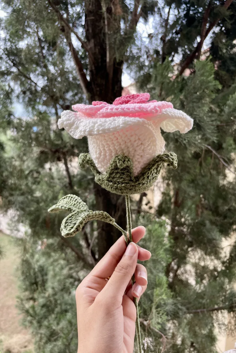 Thai Rose