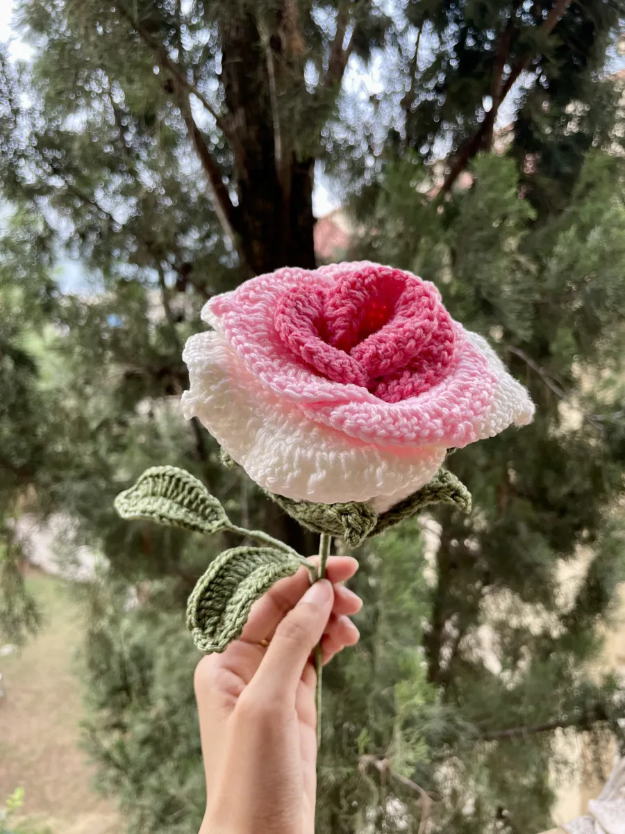 Thai Rose