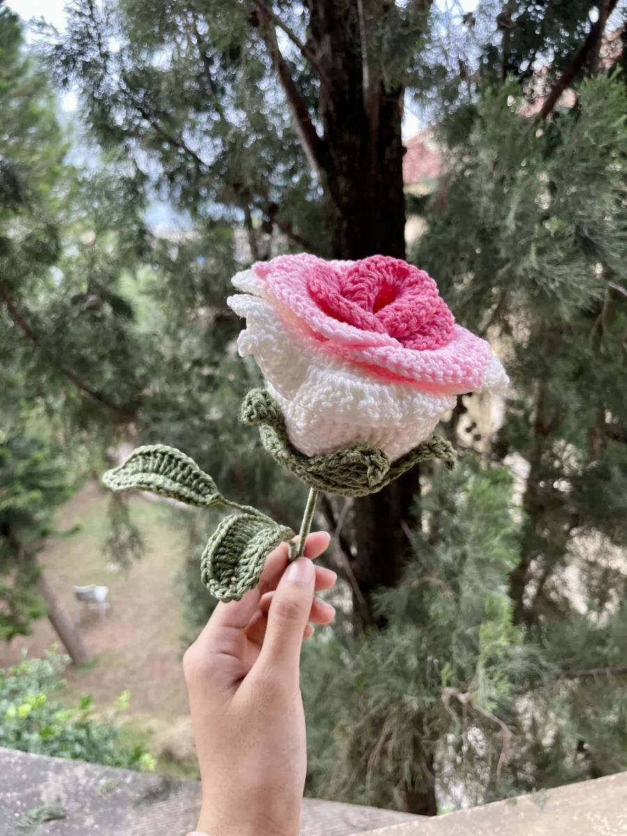 Thai Rose