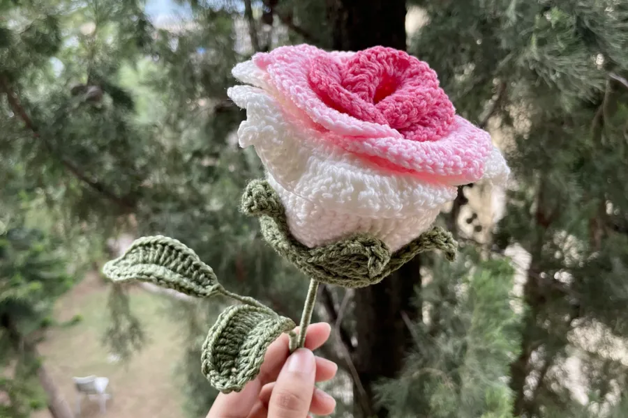 How much do crochet flowers cost in Pakistan?