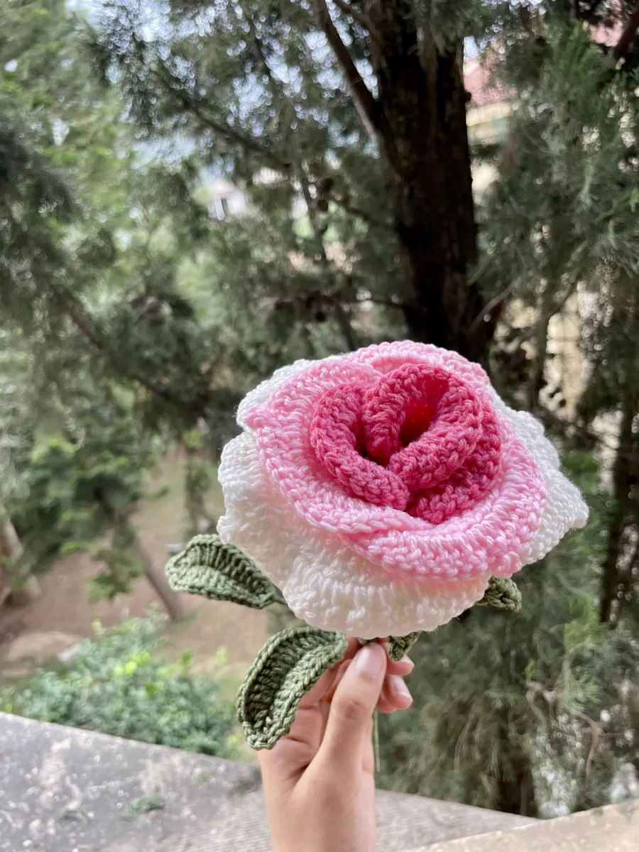 Thai Rose