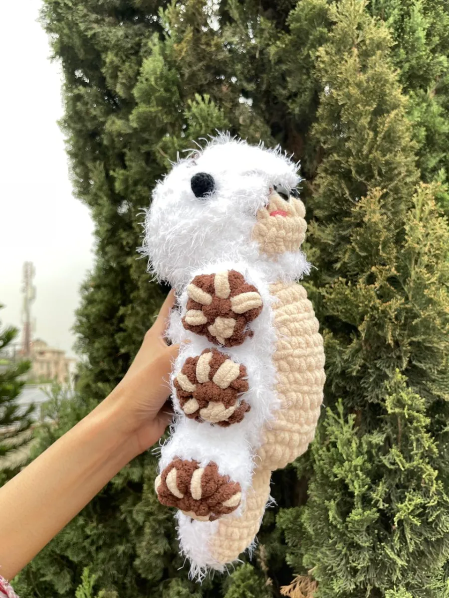 Appa