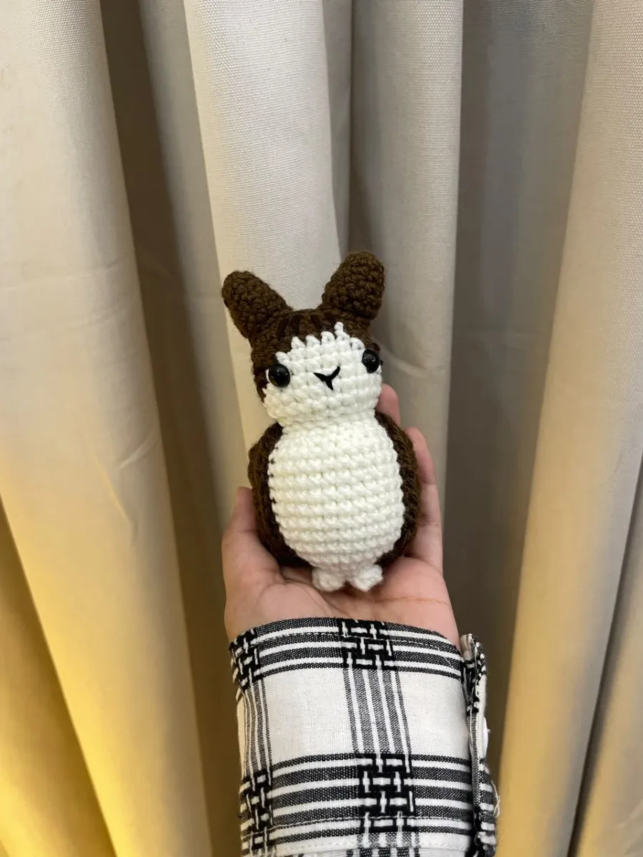Meowl