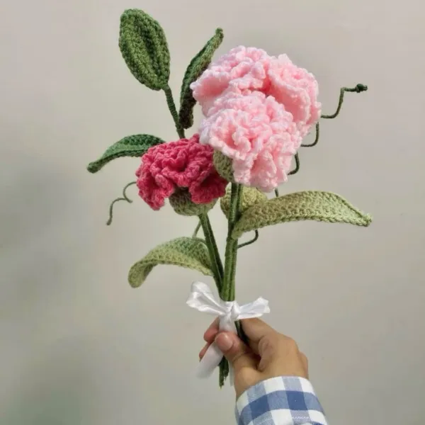 Carnation Bouquet